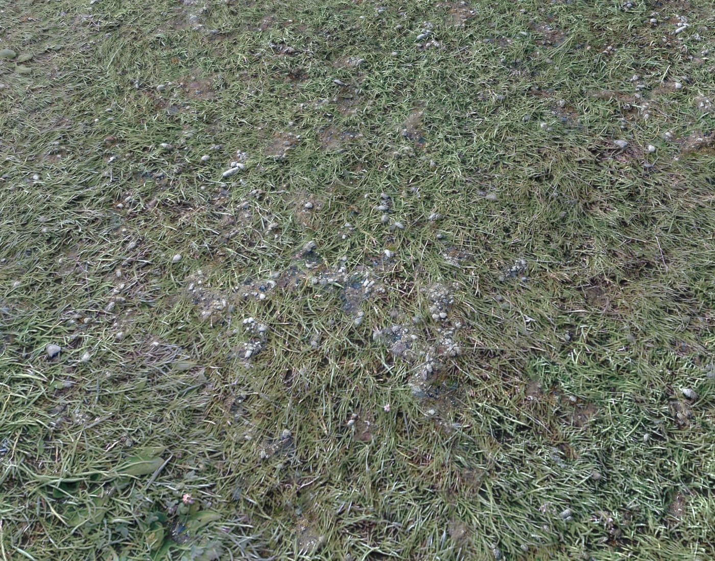 Ground terrain forest tundra PBR pack 4 Texture_8