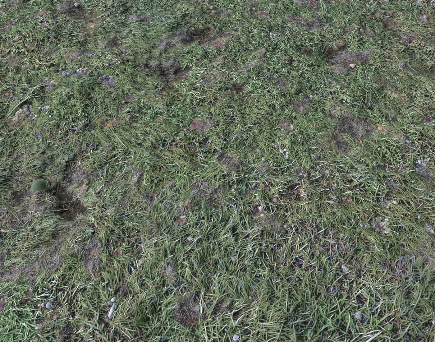 Ground terrain forest tundra PBR pack 4 Texture_12
