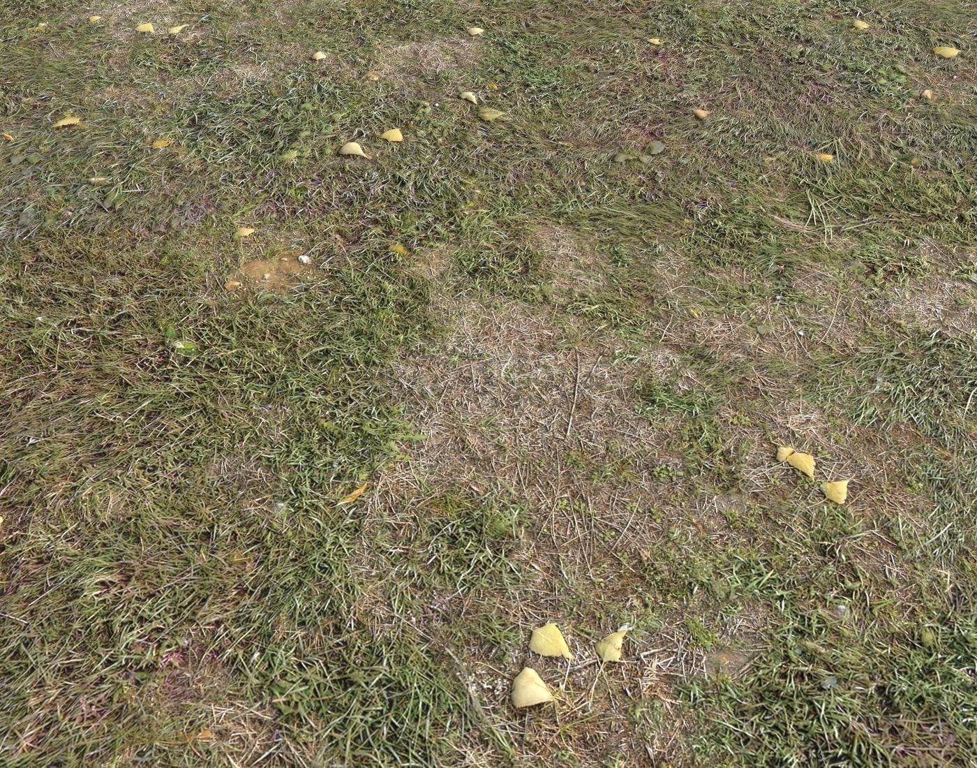 Ground terrain forest tundra PBR pack 4 Texture_14