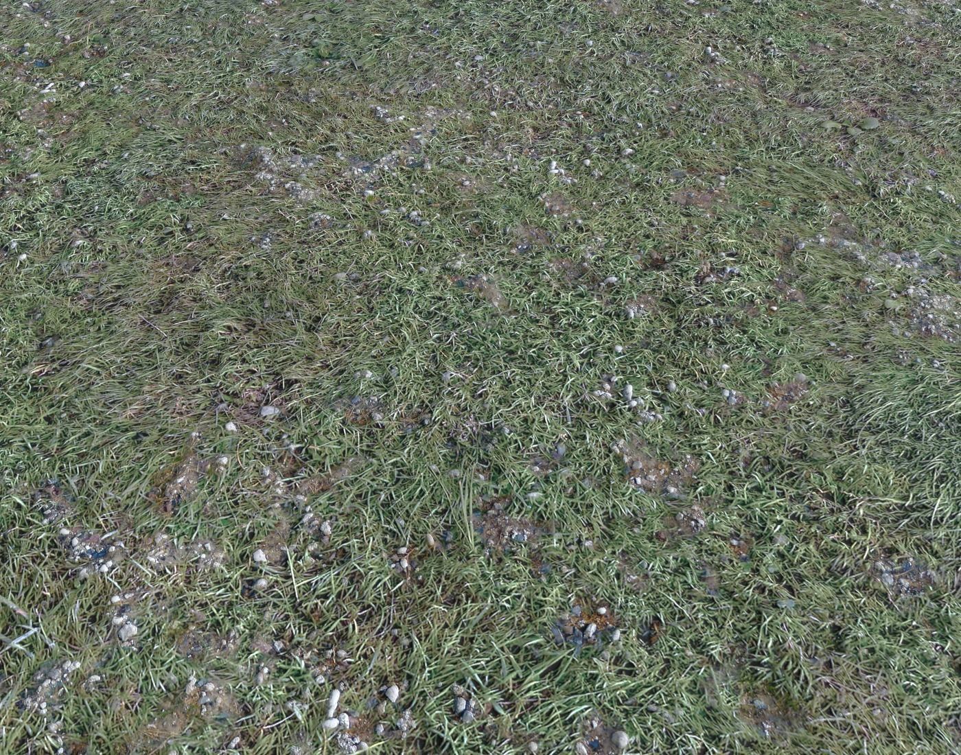 Ground terrain forest tundra PBR pack 4 Texture_6