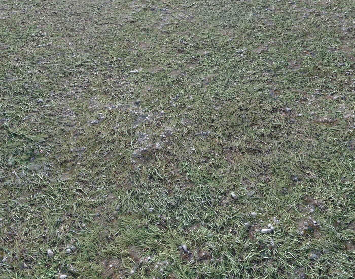 Ground terrain forest tundra PBR pack 4 Texture_7