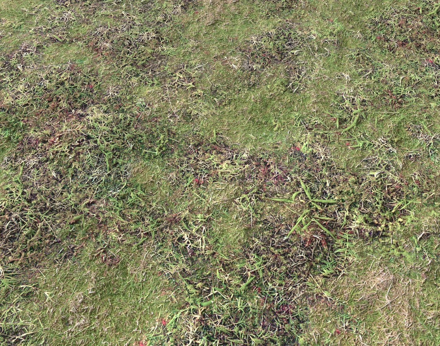 Ground terrain forest tundra PBR pack 4 Texture_20