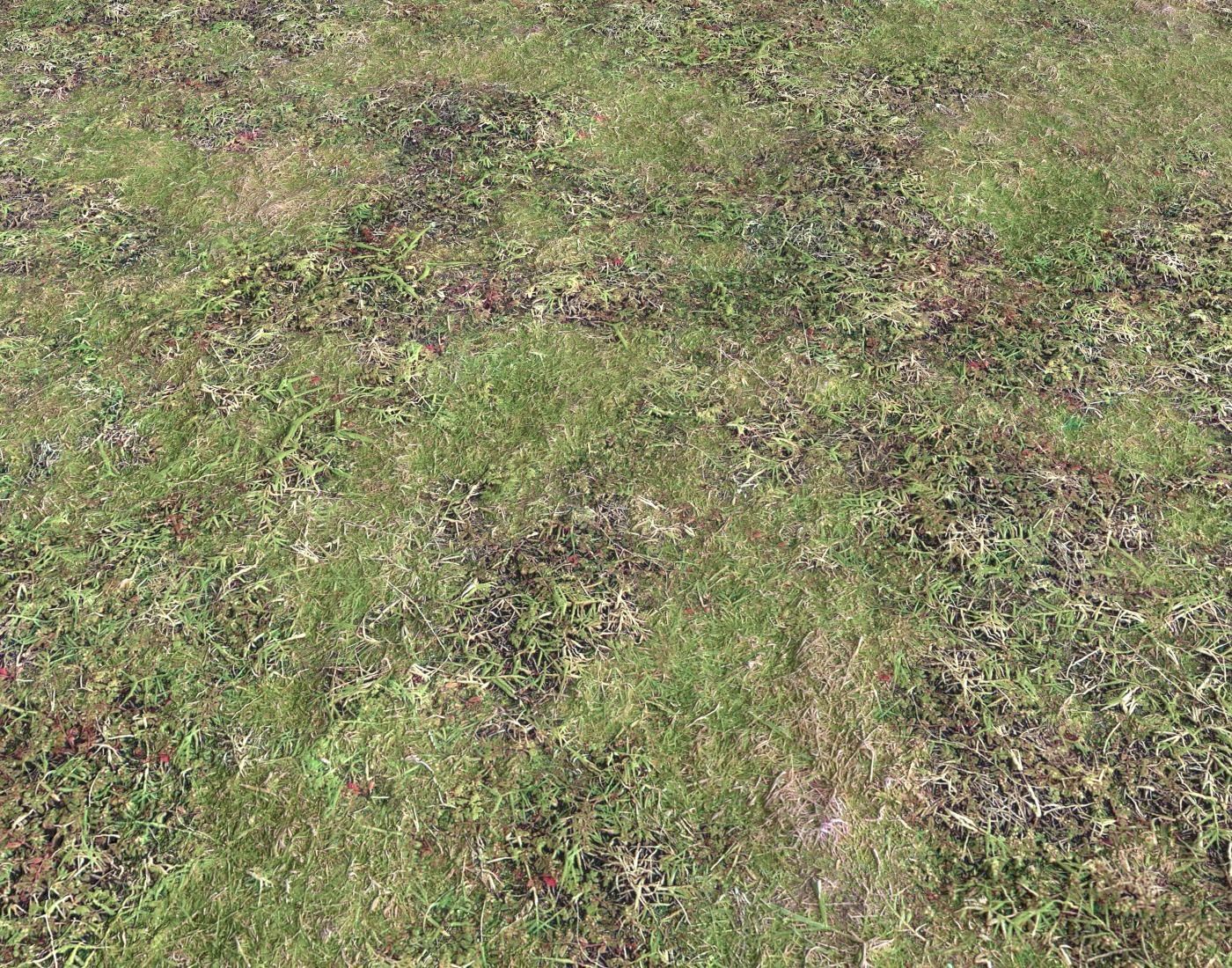 Ground terrain forest tundra PBR pack 4 Texture_18