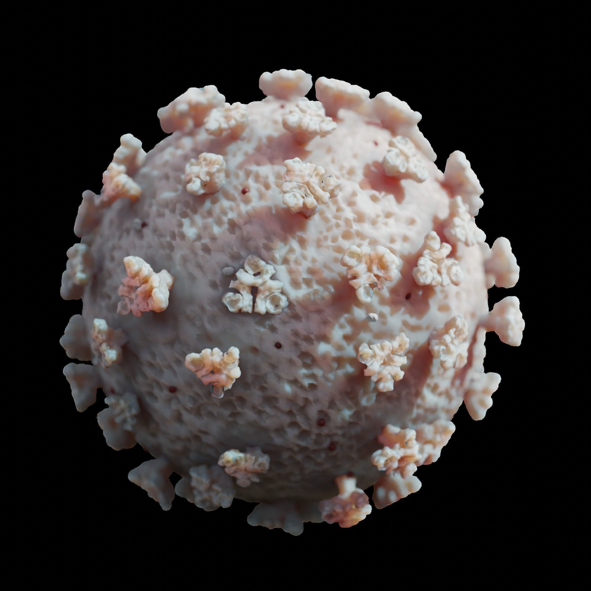 COVID-19 coronavirus 3D model_1
