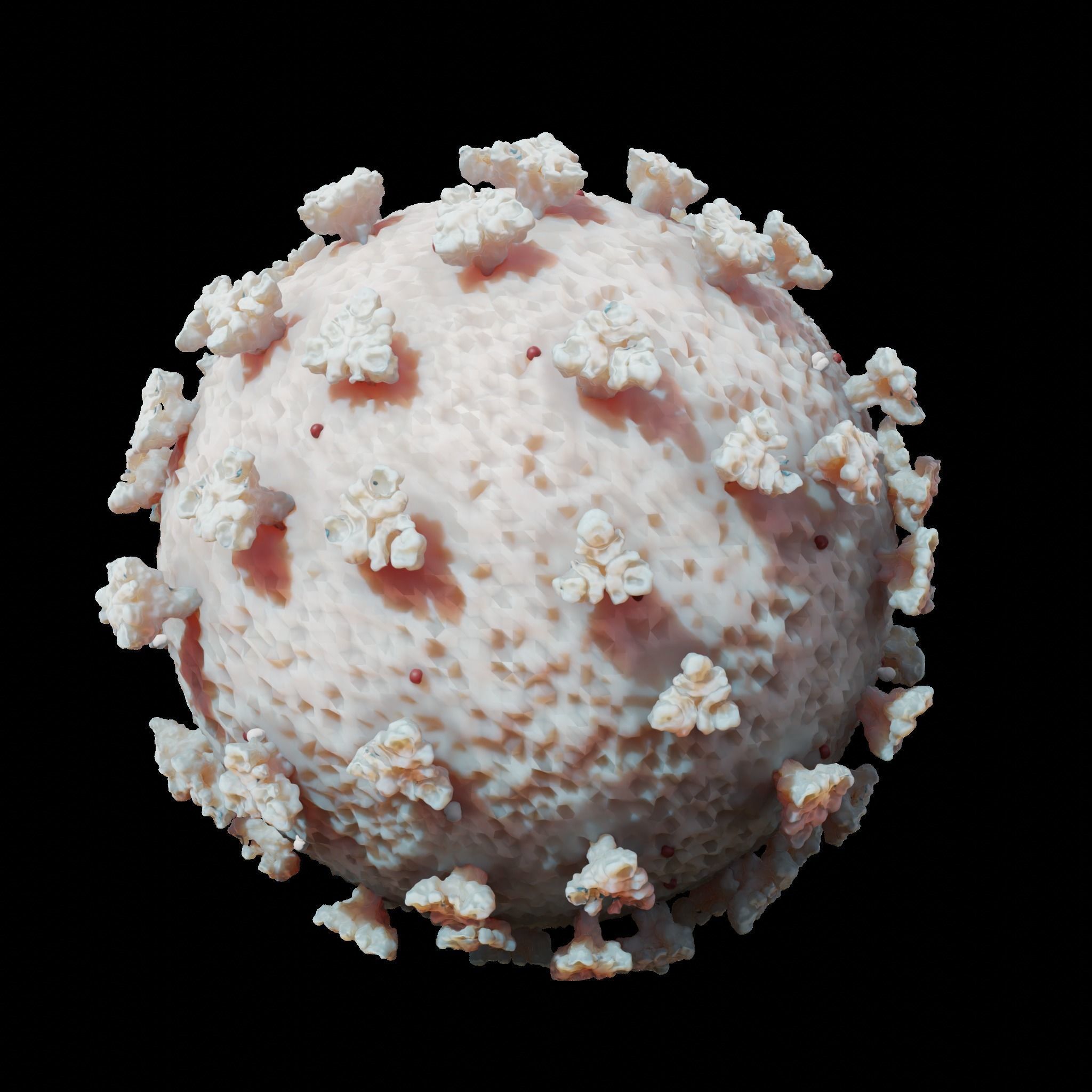 COVID-19 coronavirus 3D model_2