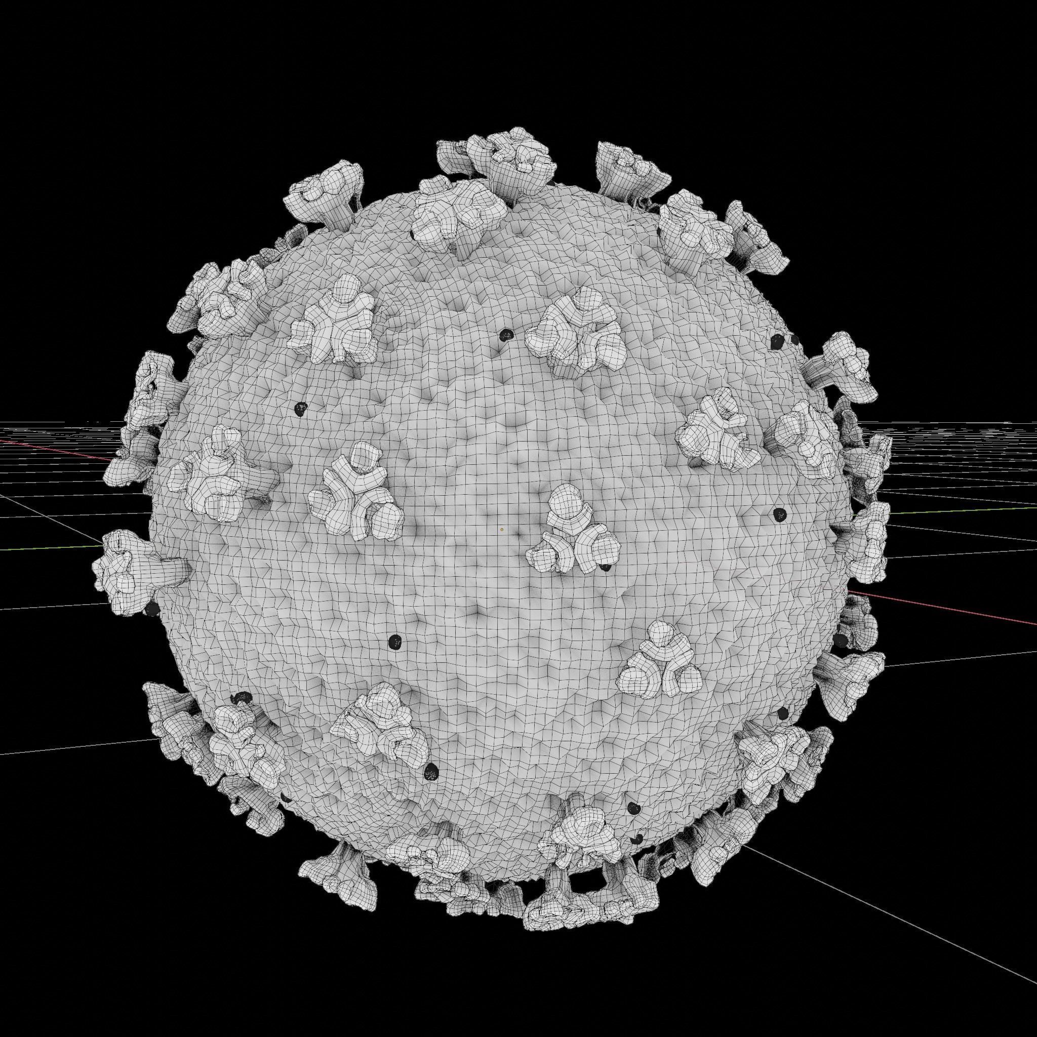 COVID-19 coronavirus 3D model_5