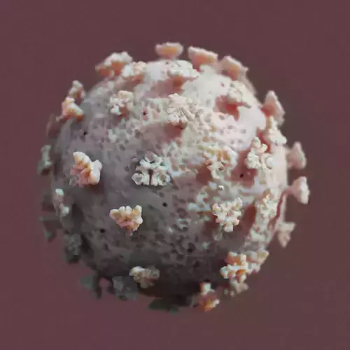 COVID-19 coronavirus 3D model