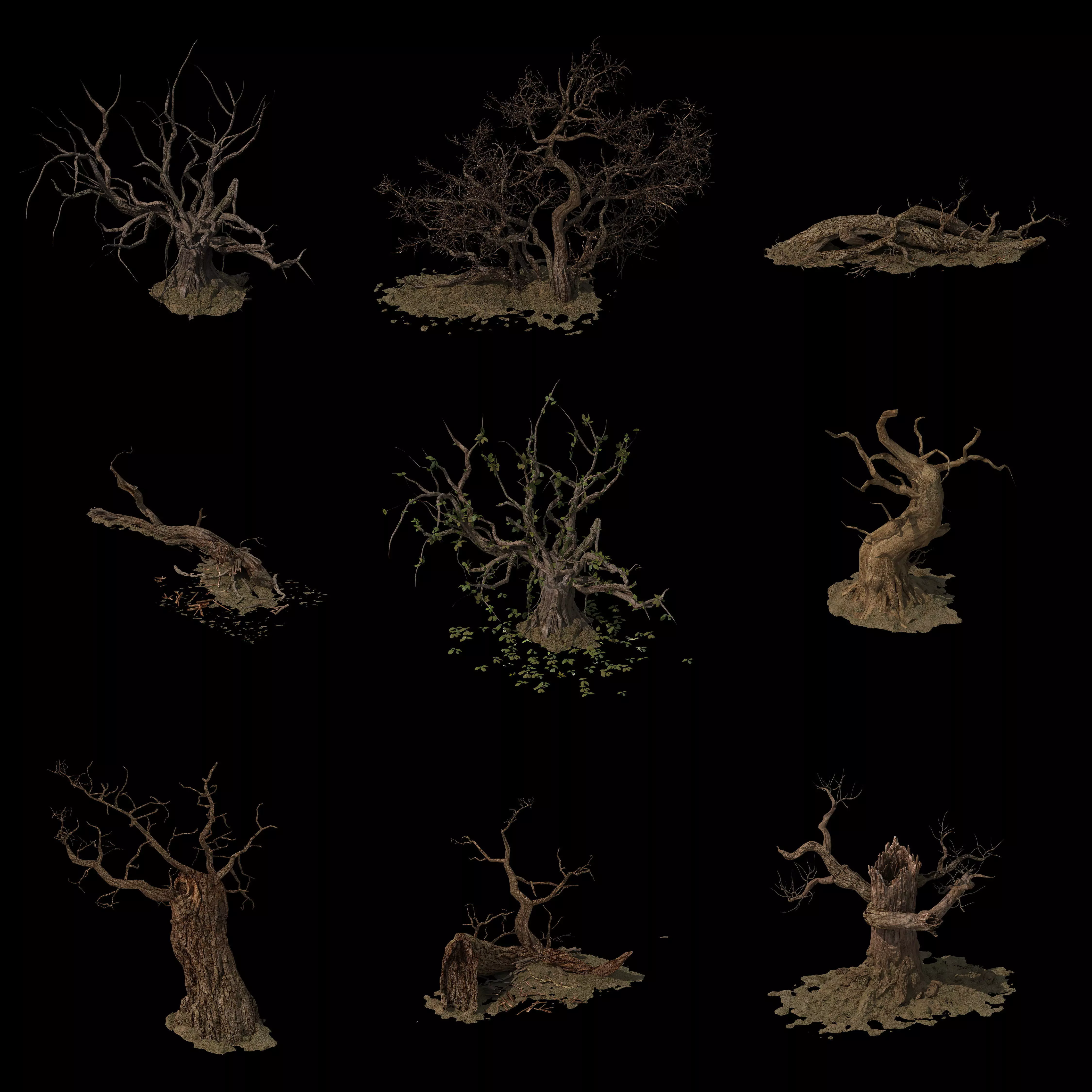 dead tree 3D model_0