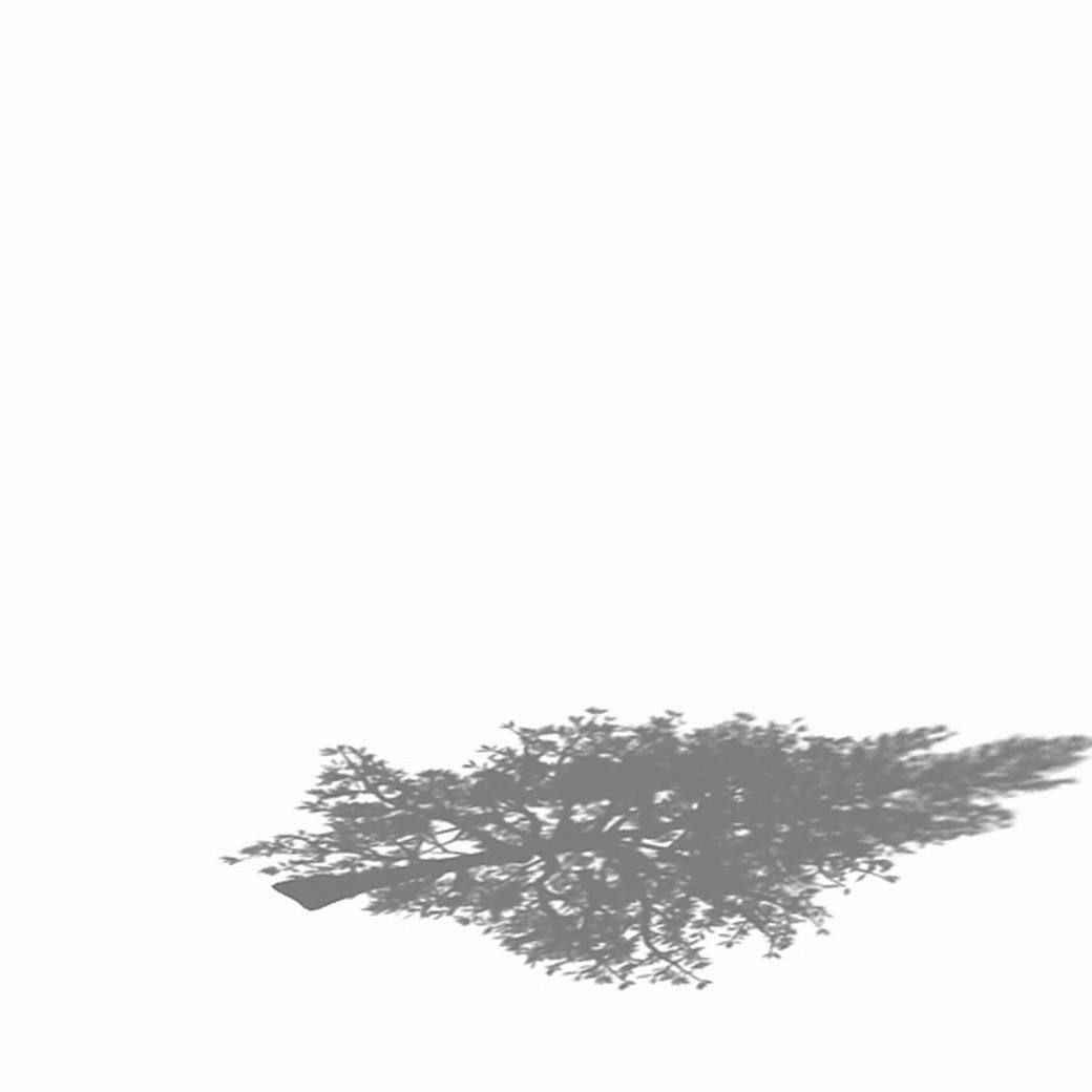 Chennault - evergreen 36 3D model_2