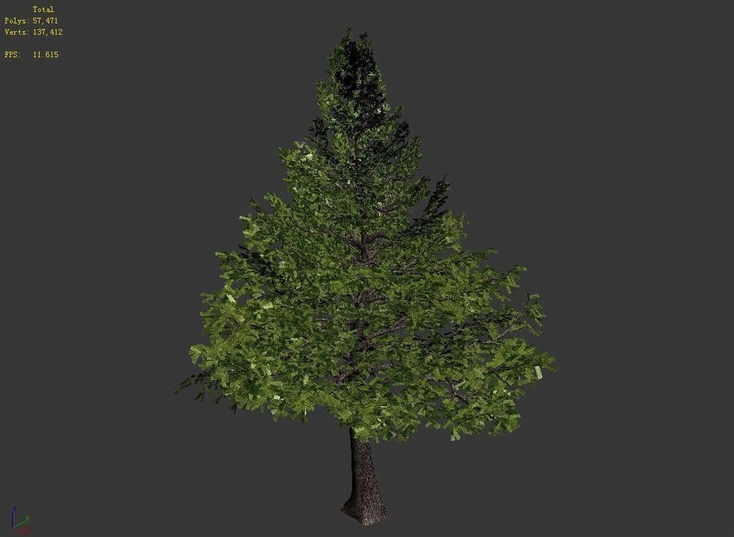 Chennault - evergreen 36 3D model_4