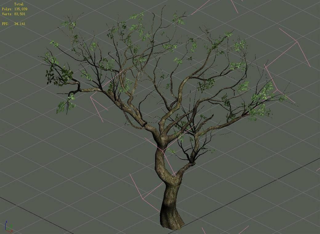 Sennard - Deciduous tree 3 3D model_4
