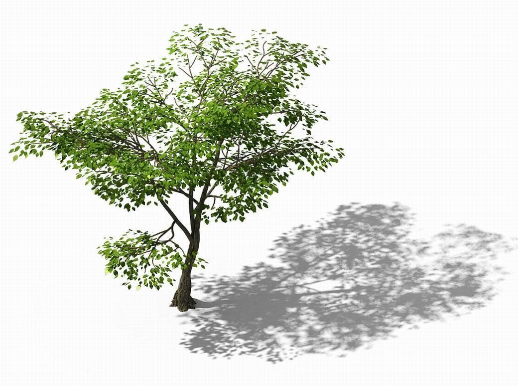 New Village - Landscape 02 3D model_1