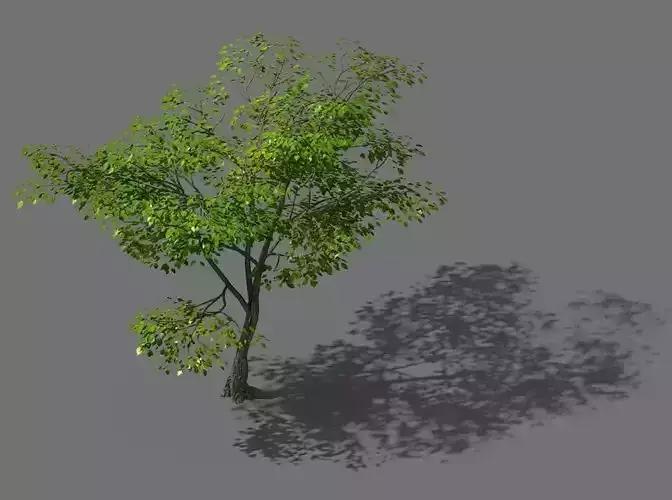 New Village - Landscape 02