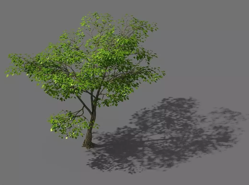 New Village - Landscape 02 3D model_0