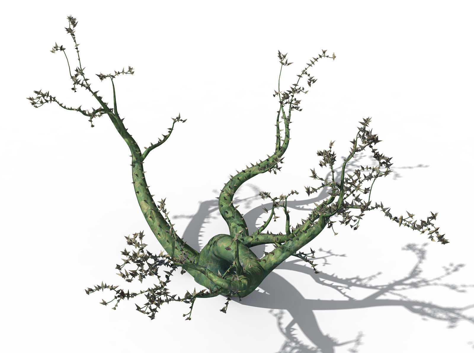 New Village - ornamental tree 01 3D model_1