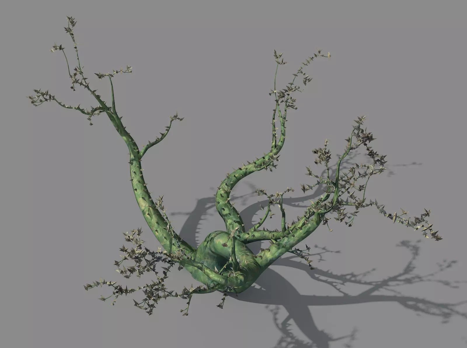 New Village - ornamental tree 01 3D model_0