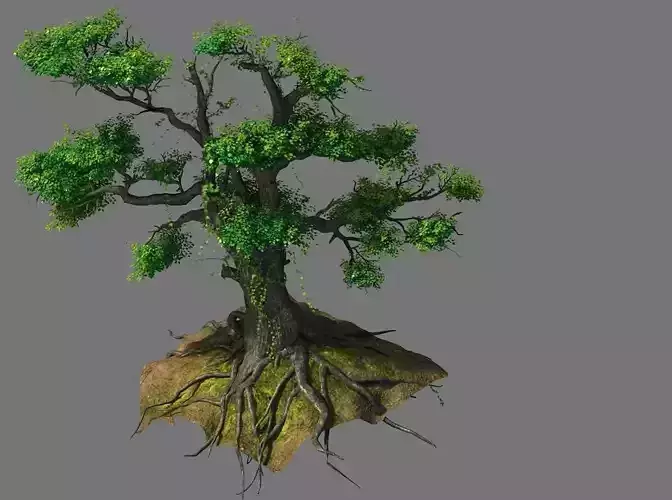 New Village - tree viewing 04