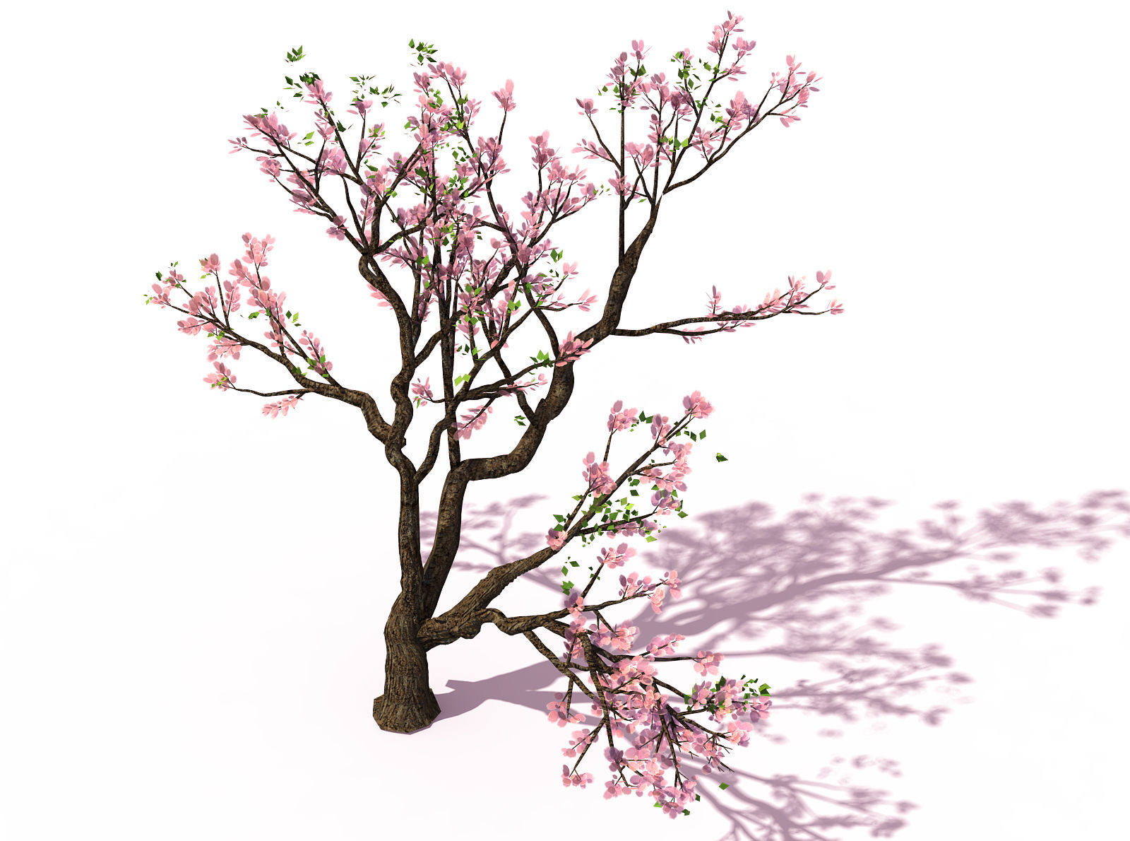 New Village - Peach 01 3D model_1