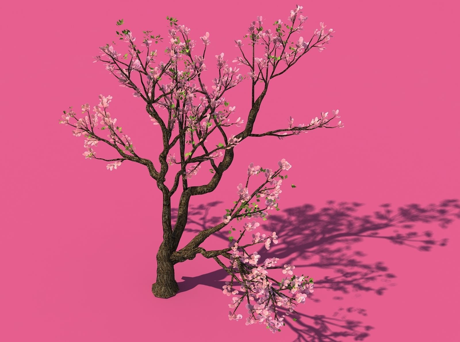 New Village - Peach 01 3D model_4