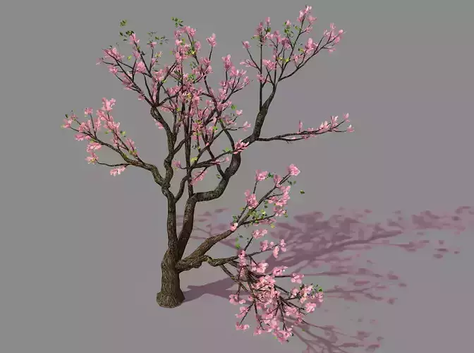 New Village - Peach 01