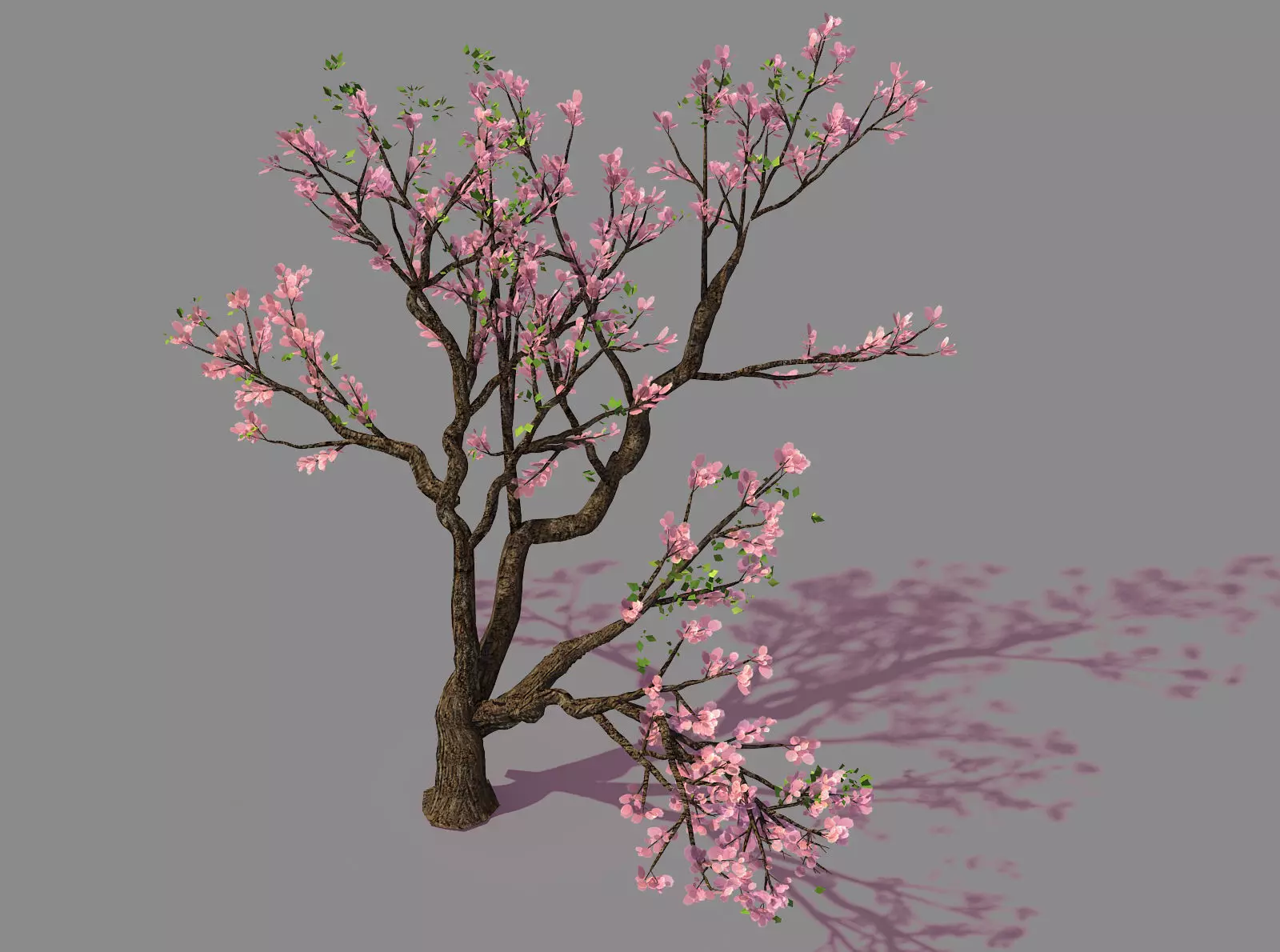 New Village - Peach 01 3D model_0