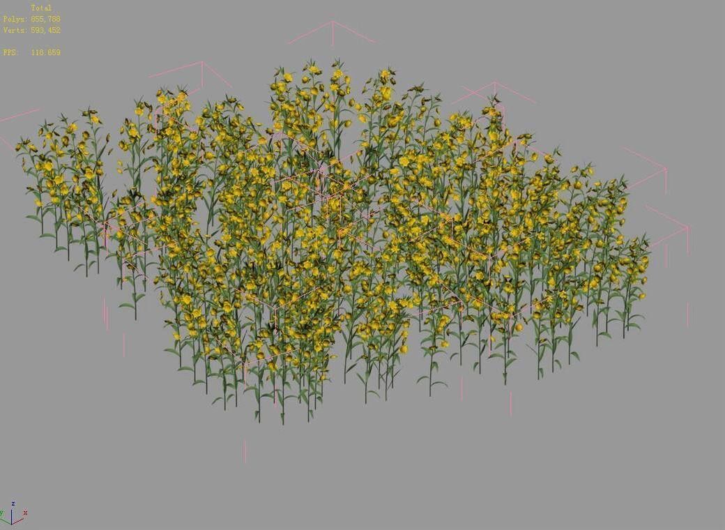 New Village - rape field 3D model_5