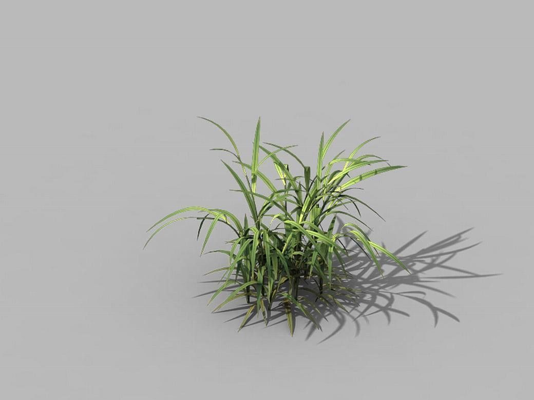 Brutal tribal - grass 03 3D model_2
