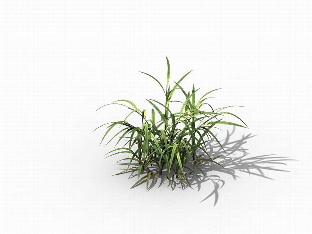 Brutal tribal - grass 03 3D model_1