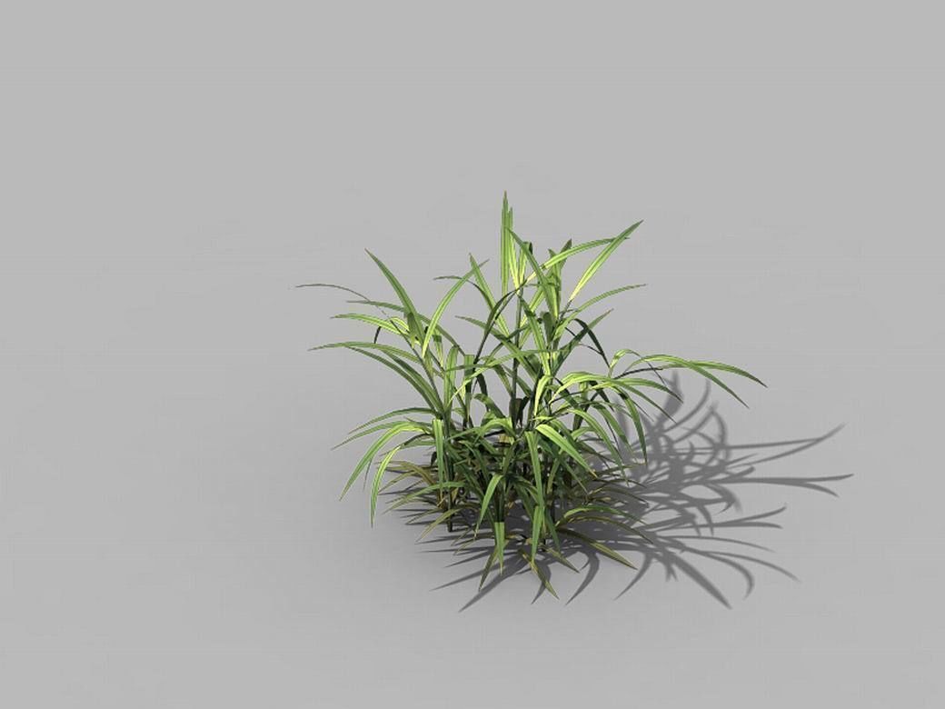 Brutal tribal - grass 03 3D model_3