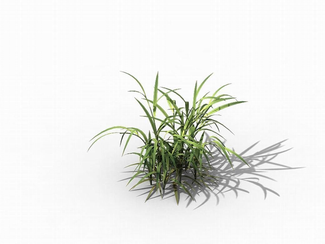 Brutal tribal - grass 03 3D model_4