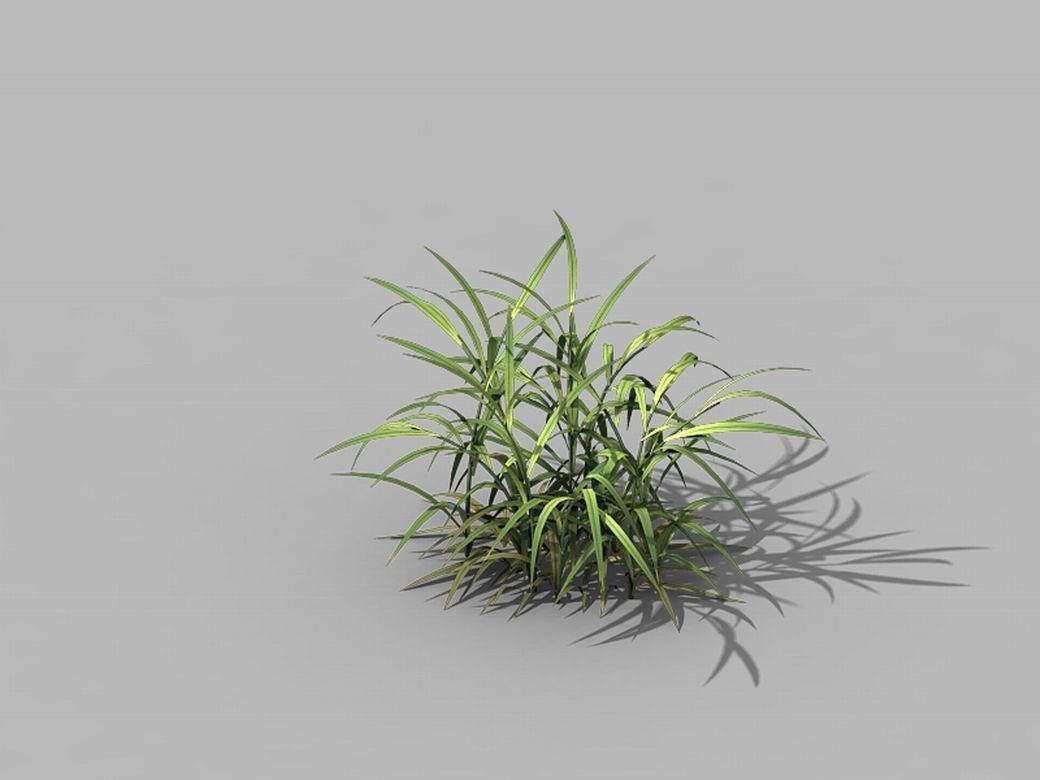 Brutal tribal - grass 03 3D model_5