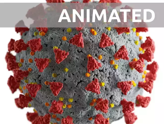 Corona virus -animated- 3D model
