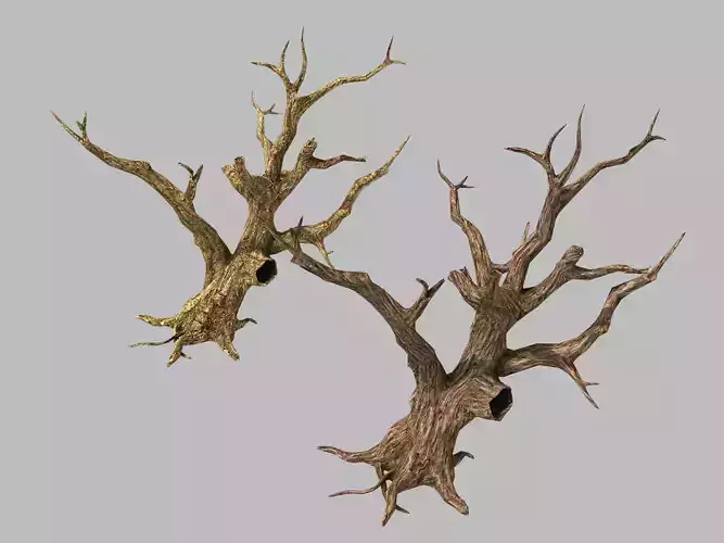 Brutal tribes - dead trees 04