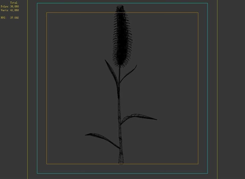 Weed plants - dog tail grass 01 3D model_2