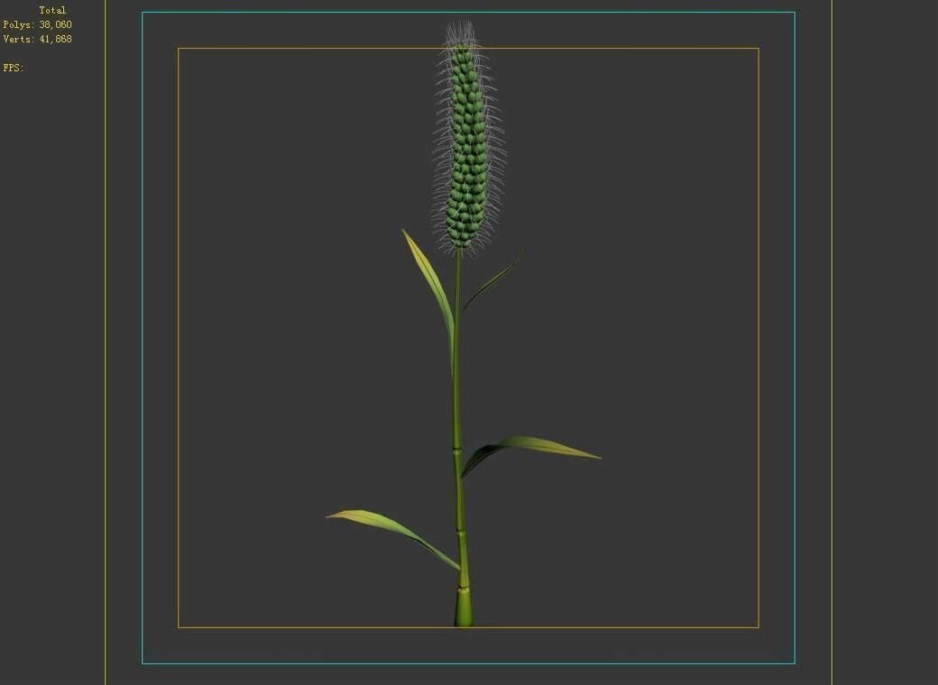 Weed plants - dog tail grass 01 3D model_3