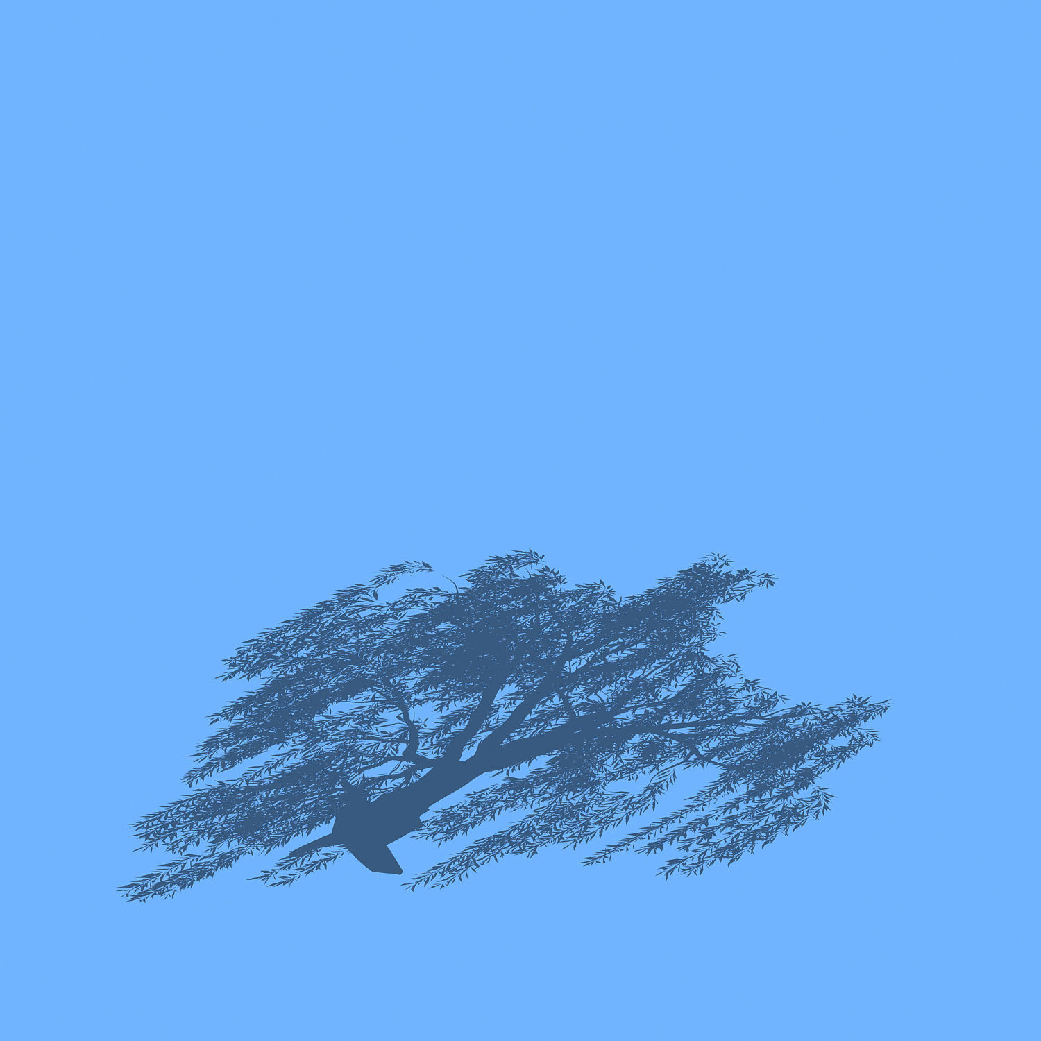 Plant - willow 1-1 3D model_2