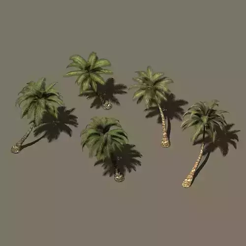 Plant - Coconut Tree 271