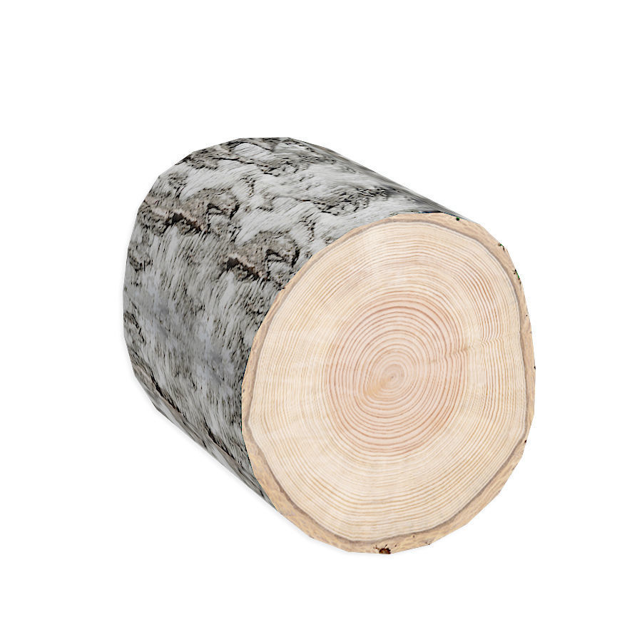 Set firewood bonfire hatchet 3D model_11