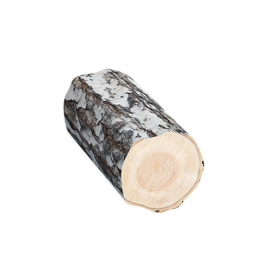 Set firewood bonfire hatchet 3D model_1