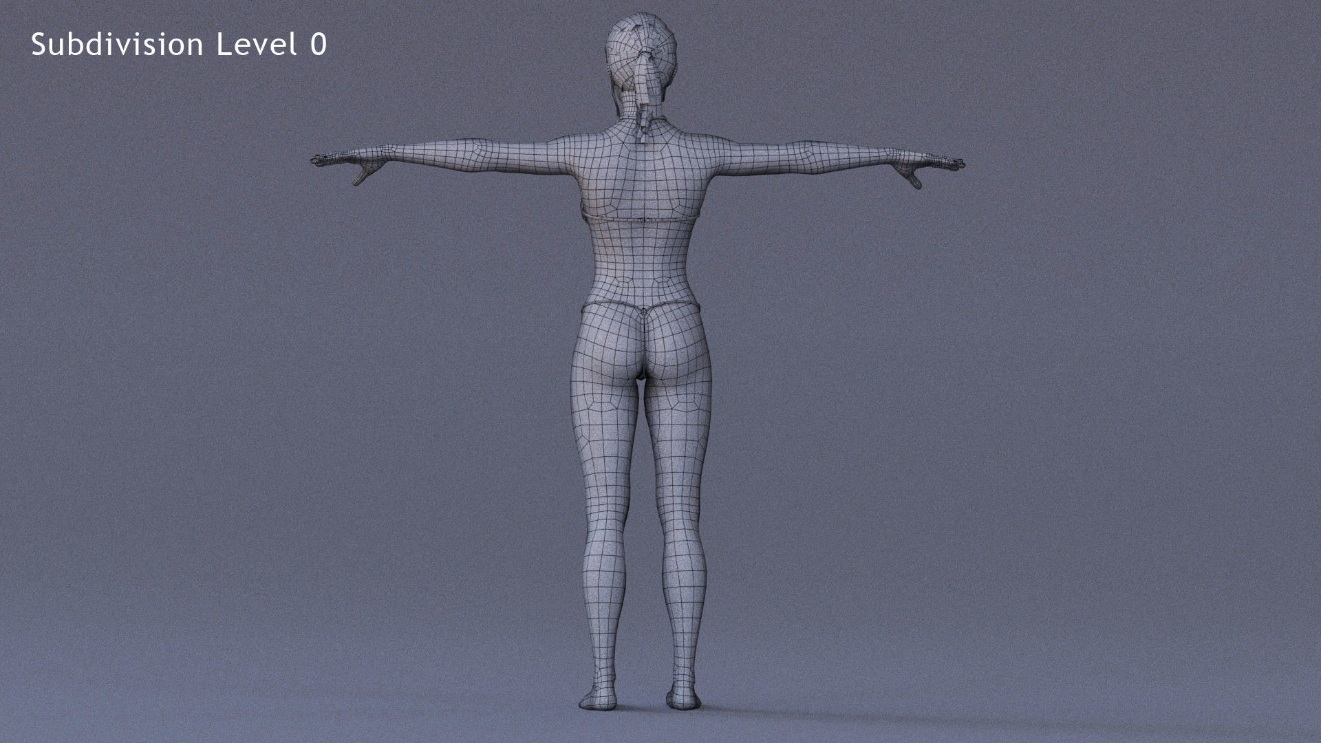 Male Female Rig Low-poly 3D model_25