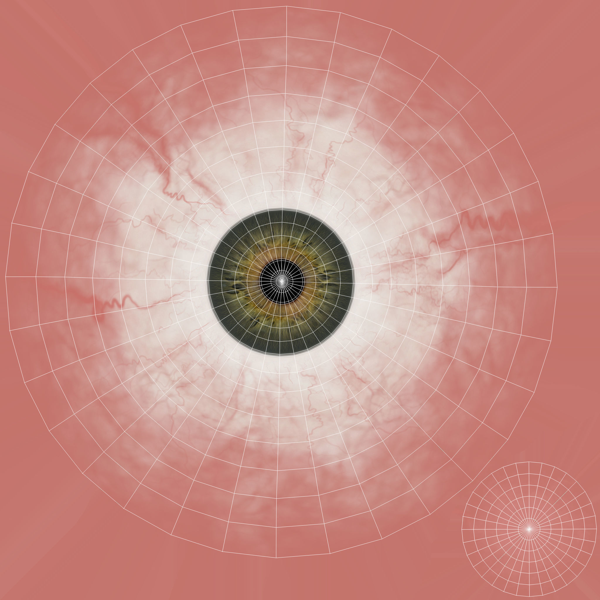 Male Female Rig Low-poly 3D model_33