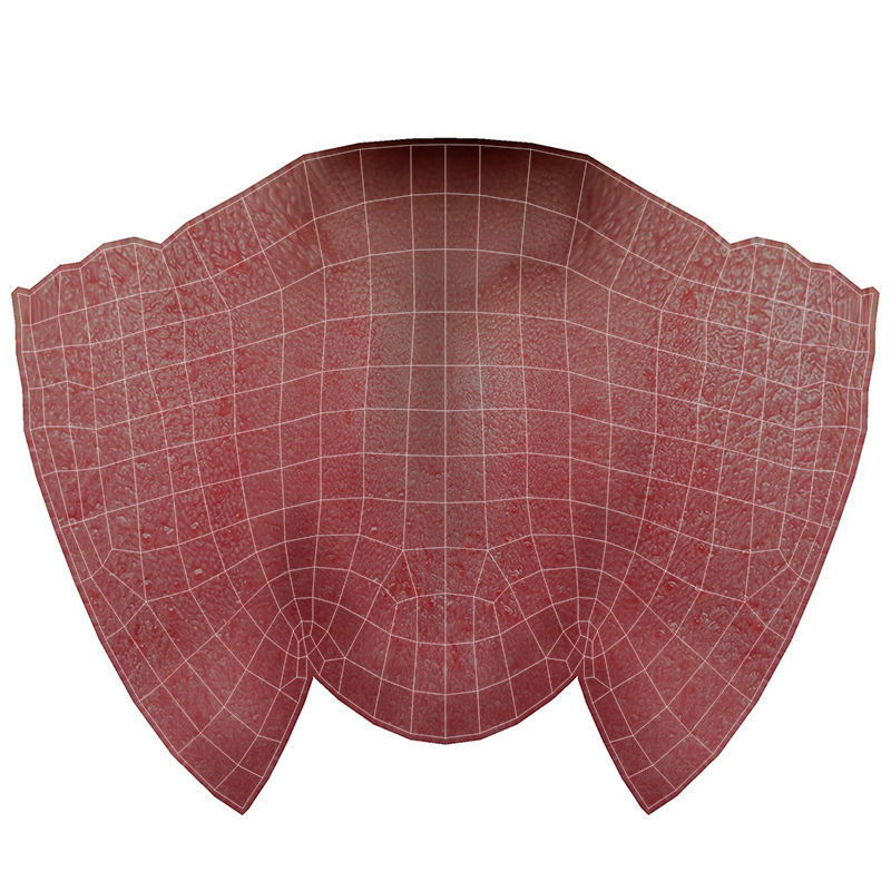 Male Female Rig Low-poly 3D model_31