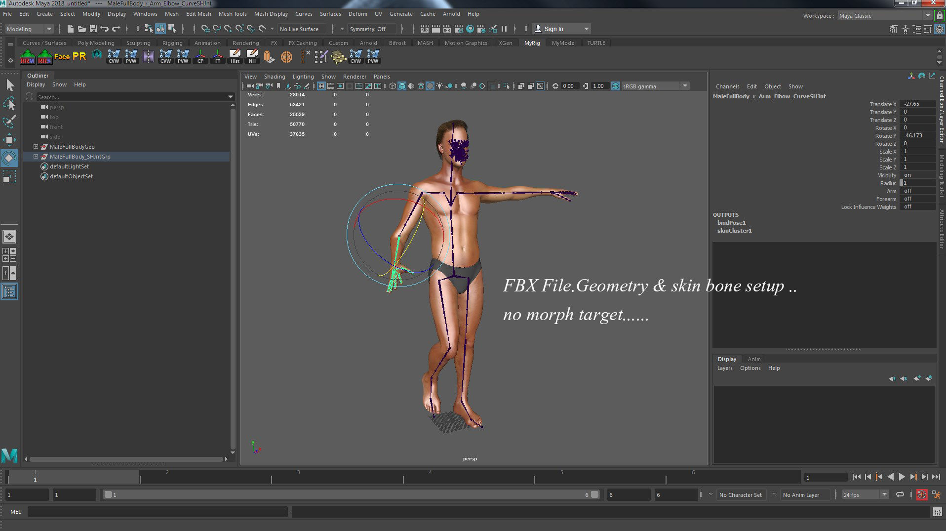 Male Female Rig Low-poly 3D model_41