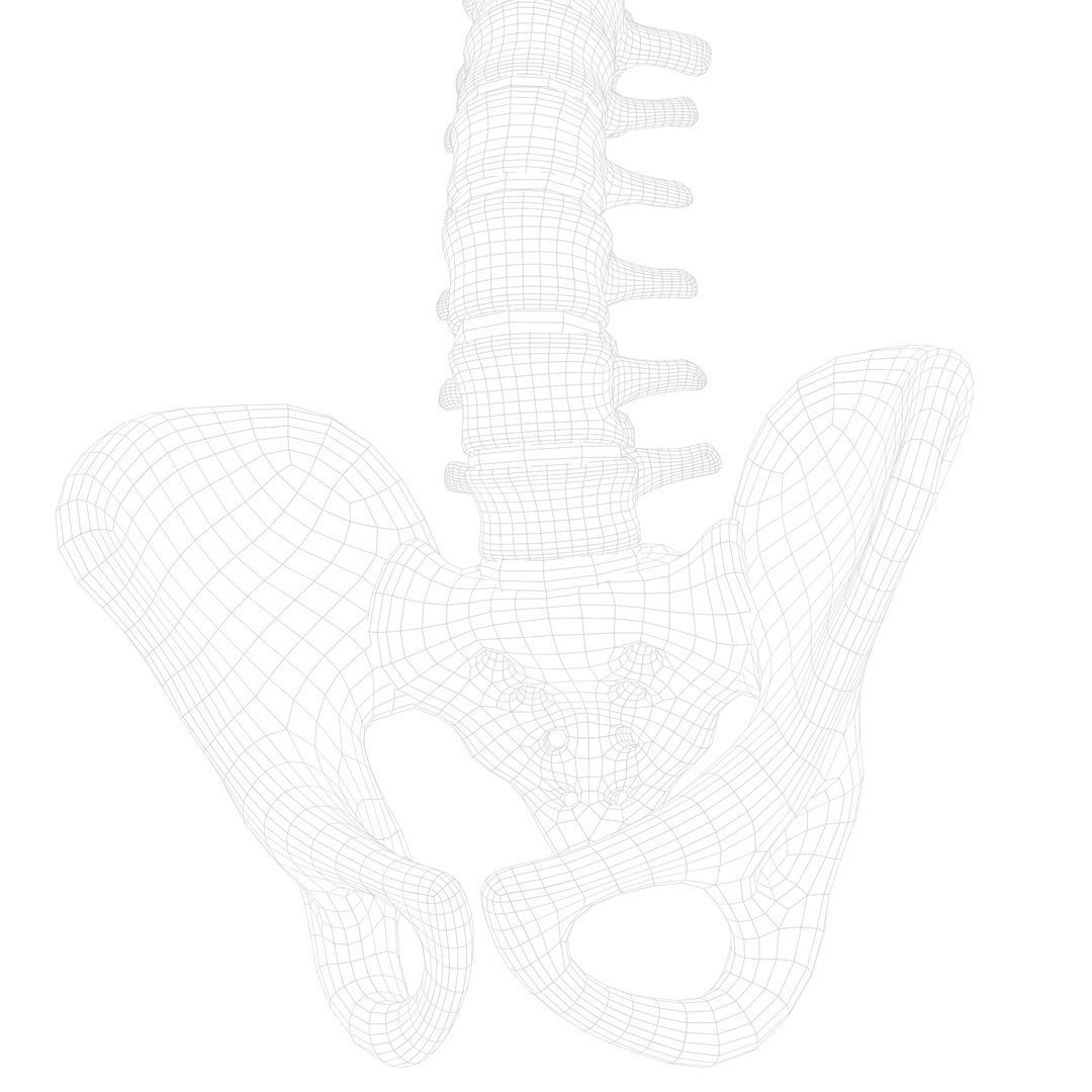 Spine Anatomy 3D model_16