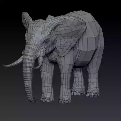 3D ELEPHANT - LOWPOLY