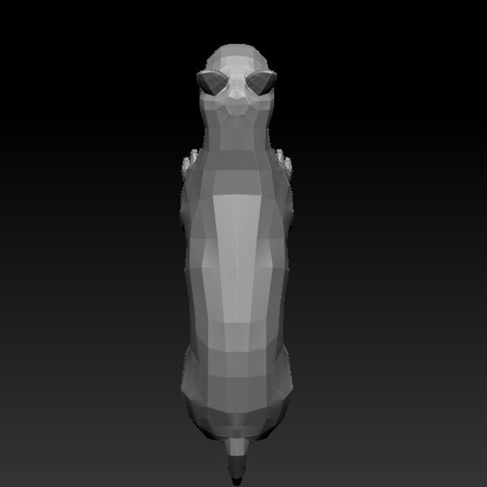 3D CAT LOWPOLY Low-poly 3D model_6