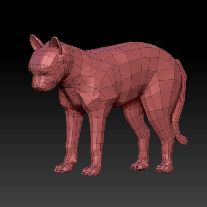 3D CAT LOWPOLY Low-poly 3D model_3