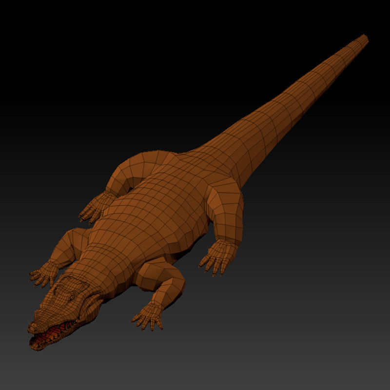 3D KOALA BEAR 3D model_10