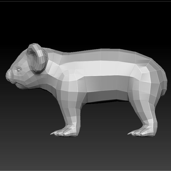 3D KOALA BEAR 3D model_5