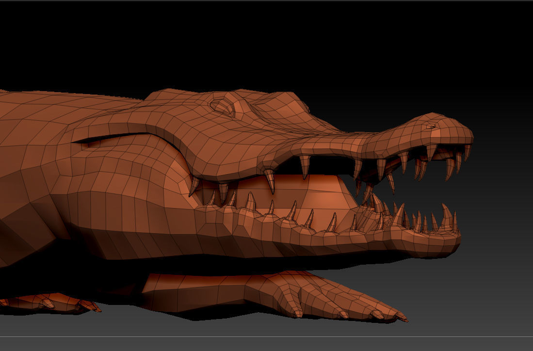 3D KOALA BEAR 3D model_12